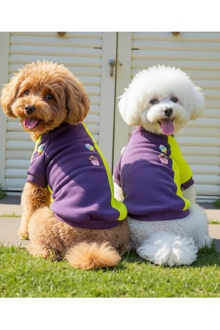 Dondurmalı Patiler Polar Sweatshirt - Ufak Irk Köpekler İçin