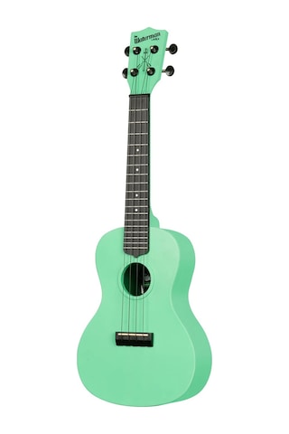 Kala Waterman Recycled Concert Ukulele Sea Foam Green