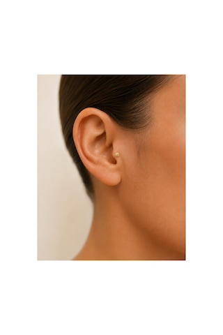 14 Ayar Altın Minimal Deniz Kabuğu Tragus Küpe Vidalı Piercing