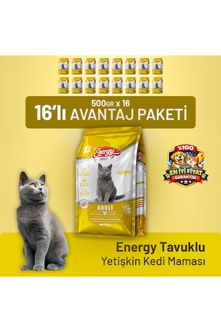 Tavuklu Yetişkin Kedi Maması - 16 Adet