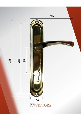 Vettore Altın Plakalı Kapı Kolu 218470057