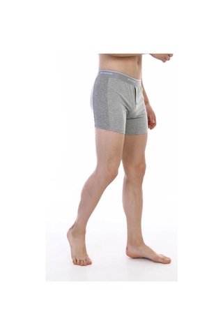 Epilons Zenvial Çift Kaplan 880 Elastanlı Erkek Boxer Zenviall2 Gri
