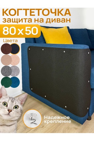 Aseliadia Kedi Kınağı - 80x50 Cm Kanepe Tipi 369698940