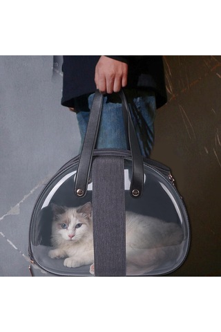 Homyl Kedi Taşıyıcı Köpekler Yavru Yavruları Gine Domuzu