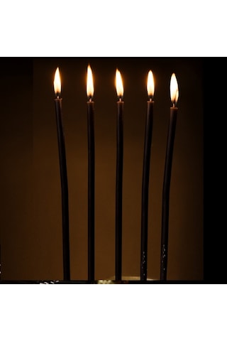 Yüksek Kalite 16pcs Church Black Candles 16 Adet Siyah Arınma Mumu Siyah Kilise Mumu Siyah Ayin Mumu