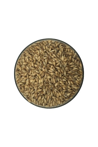 Hitit Malt Pale Arpa Maltı 1 KG Hitit Malt Pale Arpa Maltı 1 KG