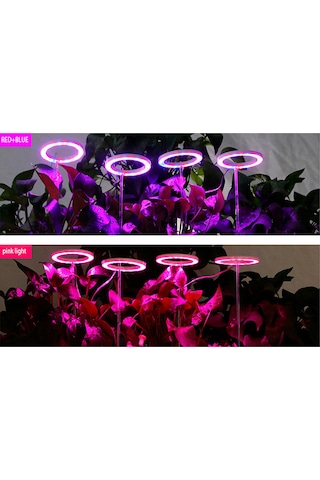 Singree Ev Bitkileri İçin Pembe Işıklı Led Büyüme Lambası - 2 Halkalı, Zamanlayıcılı, İç Mekan Kullanımı Pembe