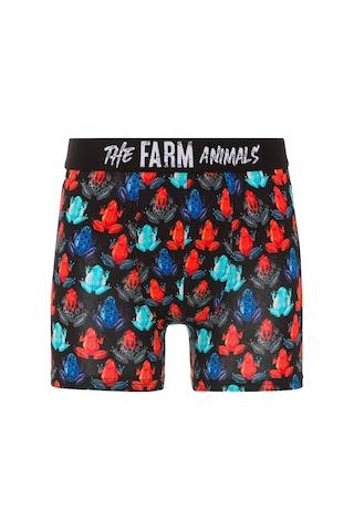 Farm Animals Frogs Desenli Boxer Çok Renkli