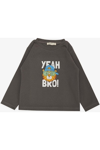 Breeze Girls & Boys Erkek Çocuk Uzun Kollu Tişört Şapkalı Havalı Aslancık Baskılı 1-4 Yaş, Füme-füme Füme
