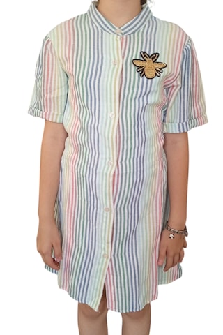 Kız Çocuk Arı Bloşlu Düğme Kapamalı Midi Boy Renkli Elbise