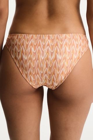 Penti Renkli Kacie Side Bikini Altı