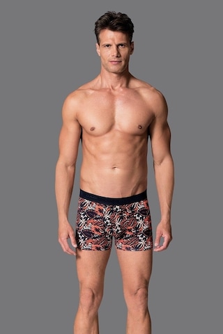 Eros 019 Erkek Compact Yaprak Boxer Çok Renkli