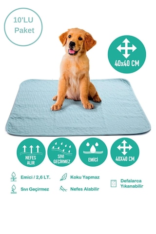 Caretex Abso Yıkanabilir Emici Köpek Pedi 10'lu 40 x 40 CM