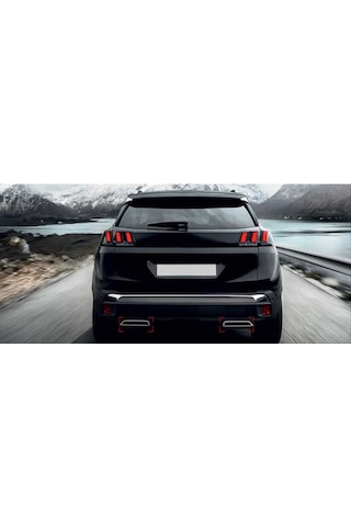 Peugeot  3008 2016 Egzoz  Nikelaji