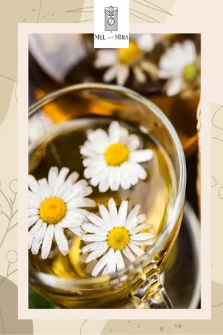 Premium Papatya Çayı 50g, Daisy, Asteraceae, Chamomillae Romanae