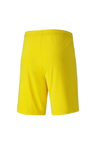Puma Teamgoal 23 Knit Shorts Erkek Futbol Şortu 70426207 Sarı