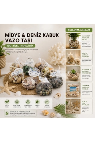 Bay Dekoratif Vazo Taşı - Midye Ve Deniz Kabuğu - Fileli Renkli Mix Najmaddin Standart