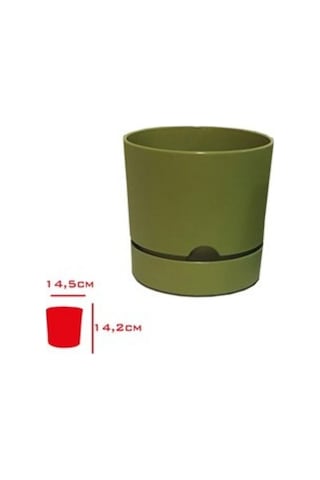 Polıwork Saksı Begonya 15 Cm Yosun Yeşili