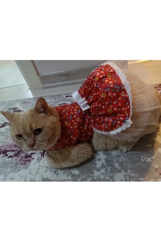 Gobo Rengarenk Çiçekli Fiyonklu Kedi Köpek Kıyafeti Kırmızı L