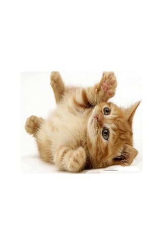 Samdoo Kedi Desenli Kaymazsız Mouse Pad - 180x220mm, 9 Farklı Kedi Resmi, İş Ve Oyun İçin, Yumuşak Dokuma, Pc/dizüstü/macbook Uyumlu Diğer