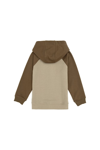 U.S. Polo Assn. - Erkek Çocuk Açık Haki Kapüşonlu Sweatshirt 50293495-VR183