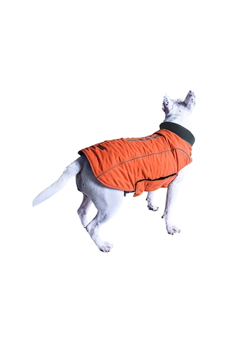 Vkemall Köpekler İçin Kışlık Mont, Kalın Isı Sağlar, İpek Telli Uyumlu, Retro Desen, Turuncu, S Boyutu Pd10025