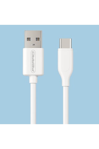 Ferro Fc-14 Usb & Type-c Hızlı Şarj Ve Data Kablosu 3.0 Amper