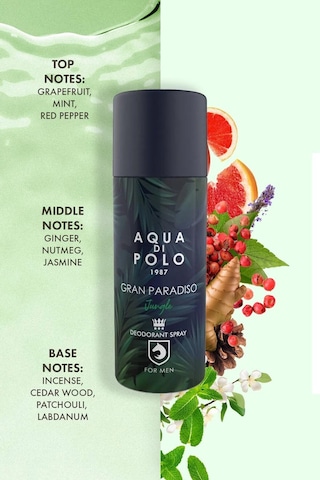 Aqua di Polo 1987 APCA000201 Gran Paradiso Jungle Sprey Deodorant Parfüm 150 ML