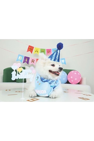 M-pets Party Time Erkek Köpekler İçin Doğum Günü Seti 20x20x7 Cm 244-50101.01