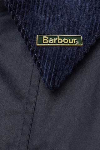 Barbour Yaka Rozeti Gold - Gold Altın