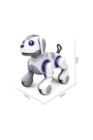 Uzaktan Kumandalı Programlanabilir Robot İle Eğlence
