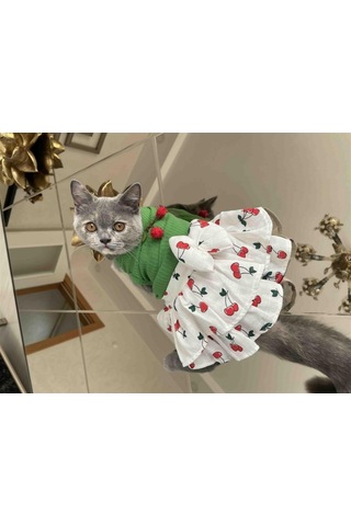 Gedyco Küçük Irk Köpek İçin Kirazlı Yeşil Elbise