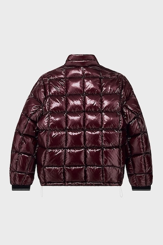 Armani Exchange Kuş Tüyü Dolgulu Regular Fit Dik Yaka Şişme Mont Erkek Mont Xm003474 Af23755 U6004 Bordo