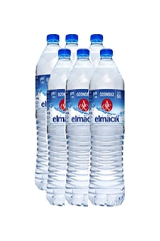 Atatürk Orman Çiftliği Elmacık Su 24 x 1 L