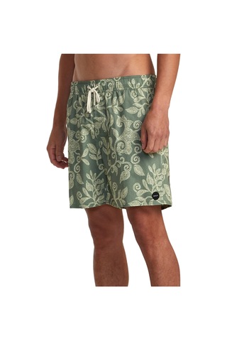 Rvca Rvca Barnes Elastic Short Erkek Yeşil Boardshort 929