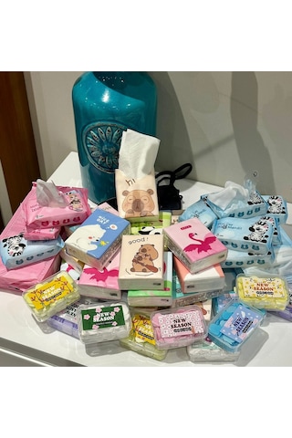 Pratik Hijyen Seti-9 Paket Kağıt Mendil - 8 Paket Mini Islak Mendil - Sihirli Sabun + Saklama Kabı