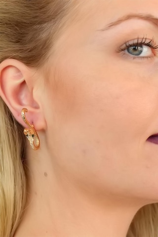 Yılan Tasarım Bayan Küpe Çok Renkli