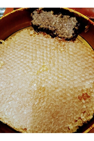 Hizan Şifa Balevi Hakiki Karakovan Oğul Balı 1 KG