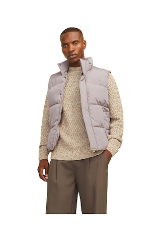 Jack & Jones 12256981 Jjebradley Bodywarmer Sn Vizon 001