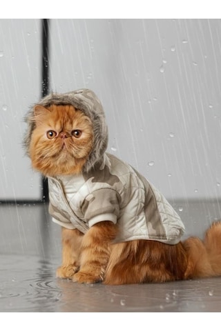 Kmauflaj Desenli Creamy Camo Kedi Montu Kışlık Ceket