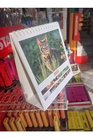 Kare Masa Takvimi, Kediler, Çok Renkli