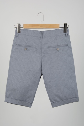 Terapi Men Erkek Gri Slim Fit Keten Şort Gri