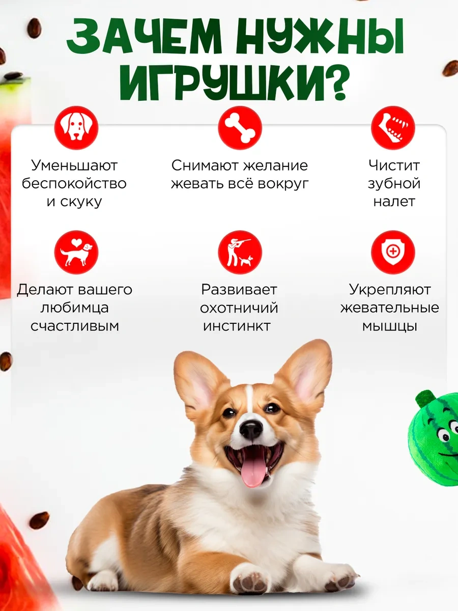 Tooth For Tooth Köpekler İçin Oyuncak Seti 404236447