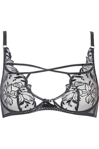 Agent Provocateur Ozella Dantelli Plunge Destekli Sütyen, Şeffaf Ve Parlak Wetlook Tasarım Siyah