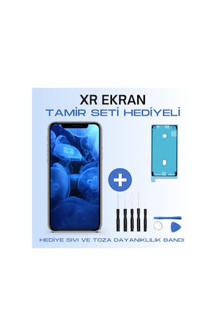 Teknik Evim Evo Apple Uyumlu iPhone Xr Lcd Ekran Dokunmatik