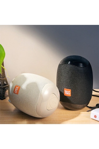 T&G TG529 Wireless 5.0 Bluetooth Hoparlör