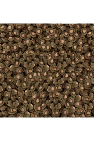 Sera Koi Professional Spirulina  Renk Yemi 1 KG