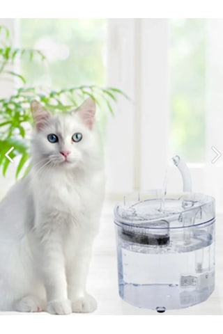 Renetic Kedi Köpek Için Sessiz Şeffaf Otomatik Su Pınarı Su Çeşme