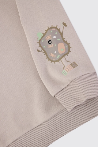 Panço Erkek Bebek Yumuşak Dokulu Taş Sweatshirt Gri