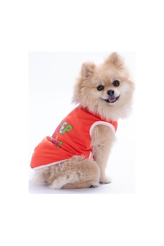Turuncu Keep Show-ıng Up Tişört Kedi Köpek Tişörtü-kedi Köpek Kıyafeti S